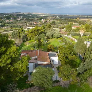 Filoxenia Di Umberto Italie